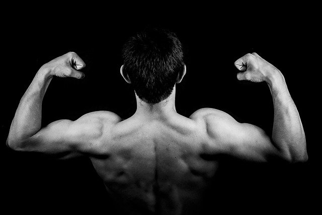 The Ultimate Guide to Building Lean Muscle Mass for Beginners
